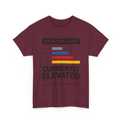 Funny Currently Elevated Tee — Elevation Chart Graphic T-Shirt