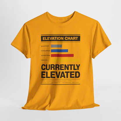 Funny Currently Elevated Tee — Elevation Chart Graphic T-Shirt