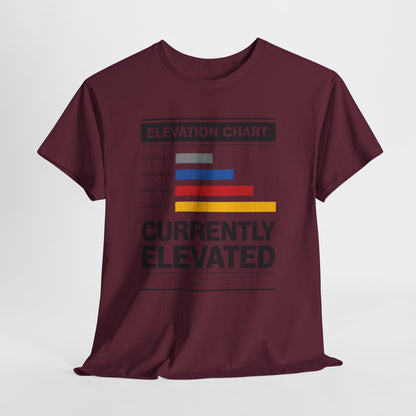Funny Currently Elevated Tee — Elevation Chart Graphic T-Shirt