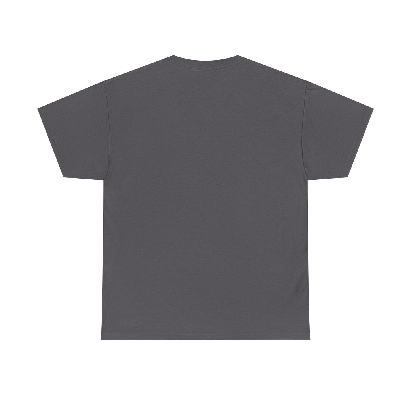 Funny Currently Elevated Tee — Elevation Chart Graphic T-Shirt
