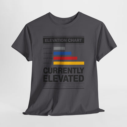 Funny Currently Elevated Tee — Elevation Chart Graphic T-Shirt