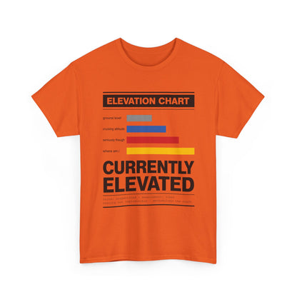 Funny Currently Elevated Tee — Elevation Chart Graphic T-Shirt
