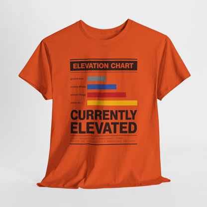 Funny Currently Elevated Tee — Elevation Chart Graphic T-Shirt