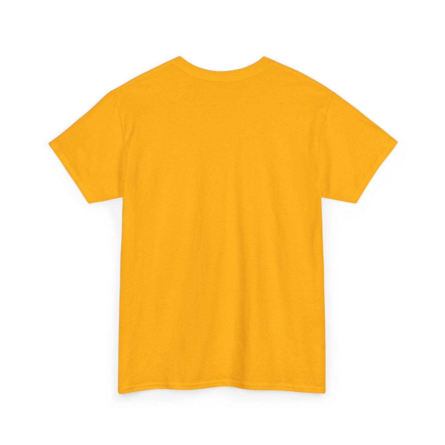 Funny Get Up vs Stay Down Graphic Tee — Motivational Workout & Recovery Shirt
