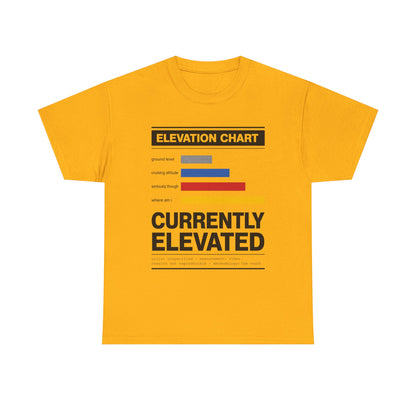 Funny Currently Elevated Tee — Elevation Chart Graphic T-Shirt